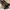 Hush Puppies Heels Ailsa Grace in Bronze photo 1