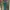 Love bonito emerald dress photo 1