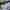 Dickies Streetwear Casual Sweater Pria white green photo 6