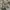 Parka Jacket Camo THANKSINSOMNIA photo 2