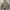 Parka Jacket Camo THANKSINSOMNIA photo 1