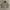 Flight Harrington Jacket Vintage Boxy Hijau Army photo 1