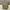 Cargo Pants Spao
