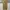 Cargo Pants Spao photo 6
