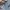 New Balance Sportswear Casual Sweatshirt Pria gray photo 3