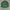 Kappa Jersey Vintage Bottle Green Colour photo 6