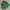 Kappa Jersey Vintage Bottle Green Colour photo 3