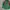 Kappa Jersey Vintage Bottle Green Colour photo 2