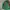 Kappa Jersey Vintage Bottle Green Colour