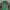 Kappa Jersey Vintage Bottle Green Colour photo 4