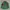 Kappa Jersey Vintage Bottle Green Colour