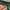 Kappa Jersey Vintage Bottle Green Colour photo 7