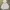 heavyweight blank zip hoodie light grey colour photo 1