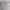heavyweight blank zip hoodie light grey colour photo 3