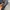 MARINA RINALDI LACE EMBLLISHED EVENING DRESS photo 4