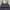 MARINA RINALDI LACE EMBLLISHED EVENING DRESS photo 2