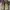Timberland Roll Top Made in China photo 3