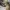 Timberland Roll Top Made in China photo 1