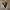 Vans Slip on photo 2