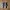 Vans Slip on photo 4
