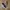 Vans Slip on photo 1