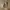 Vans Slip on photo 5