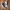 CONVERSE JACK PARCELL  photo 1