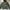 carhartt hoodie olive green  photo 1