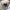 Authentic Vivienne Westwood Blouse Tops photo 4