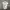 Authentic Vivienne Westwood Blouse Tops photo 6