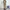 Dikies JPN Techtical Fatigue Longpants Khakis, Loose Fit