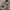 Dikies JPN techtical fatigue longpants khakis, Loose Fit photo 5