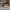 AIR JORDAN 1 HIGH BRED TOE photo 1