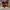 AIR JORDAN 1 HIGH BRED TOE photo 4