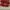 AIR JORDAN 1 HIGH BRED TOE photo 5