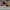 AIR JORDAN 1 HIGH BRED TOE photo 3