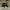 AIR JORDAN RETRO 4 UNION OFF NOIR photo 2