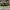 AIR JORDAN RETRO 4 UNION OFF NOIR photo 1
