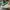 AIR JORDAN 1 LOW LUCKY TUMBLED LEATHER OFF WHITE AIR JORDAN  photo 7