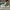 AIR JORDAN 1 LOW LUCKY TUMBLED LEATHER OFF WHITE AIR JORDAN  photo 1