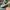 AIR JORDAN 1 LOW LUCKY TUMBLED LEATHER OFF WHITE AIR JORDAN  photo 6