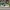 AIR JORDAN 1 LOW LUCKY TUMBLED LEATHER OFF WHITE AIR JORDAN  photo 3