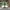 AIR JORDAN 1 LOW LUCKY TUMBLED LEATHER OFF WHITE AIR JORDAN  photo 2