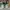 AIR JORDAN 1 LOW LUCKY TUMBLED LEATHER OFF WHITE AIR JORDAN  photo 4