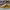 NIKE DUNK LOW SB PREMIUM NEWCASTLE BROWN NIKE DUNK LOW SB PR