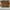 NIKE DUNK LOW SB PREMIUM NEWCASTLE BROWN NIKE DUNK LOW SB PR photo 5