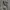 Wednesday longpants cream jeans, Regular Straight Fit photo 5