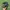 Sepatu bola puma kulit pria full besi photo 2