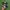 Sepatu bola puma kulit pria full besi photo 3