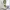 Shein denim lady printed longpants cream jeans, Loose Fit photo 1
